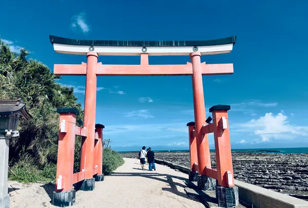 青島神社 鳥居の写真・動画_image_717812