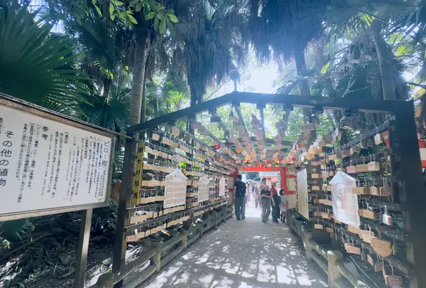 青島神社の写真・動画_image_717817