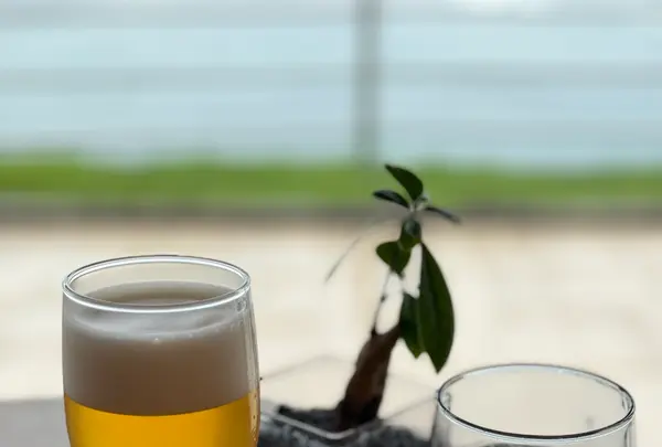 堂ヶ島アクーユ三四郎の写真・動画_image_719927