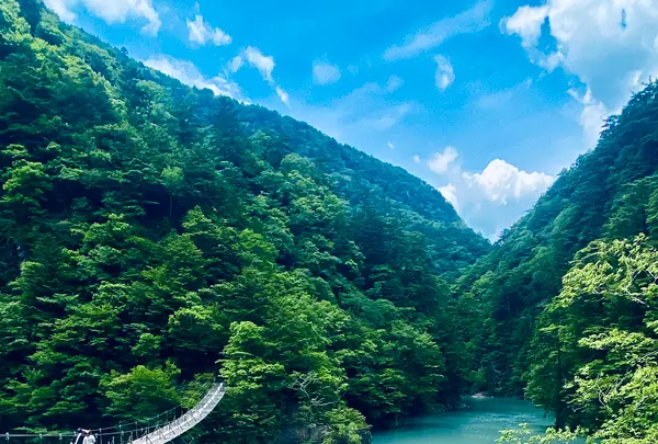 夢の吊橋の写真・動画_image_719959