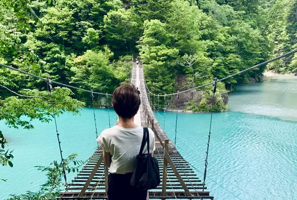 夢の吊橋の写真・動画_image_719960