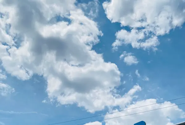 道の駅 奥大井音戯の郷の写真・動画_image_719973