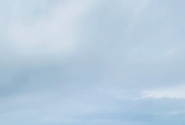 笹川流れ遊覧船の写真・動画_image_719978