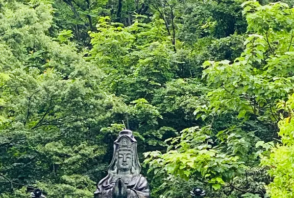 (財)越後胎内観音の写真・動画_image_719988