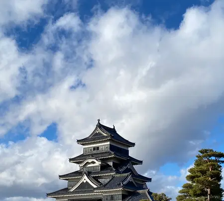 松本城の写真・動画_image_720016