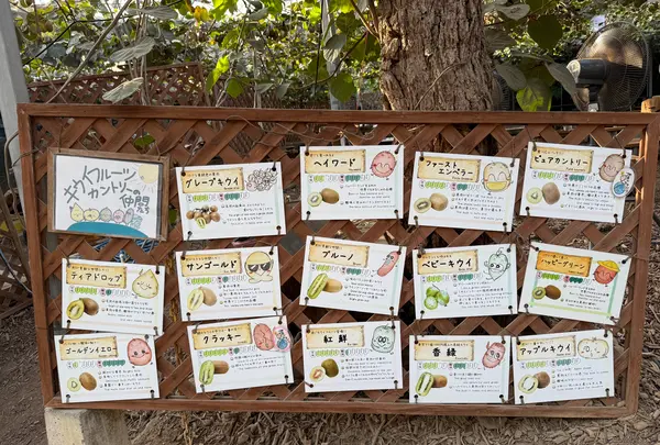 キウイフルーツ・カントリーＪＡＰＡＮの写真・動画_image_720564