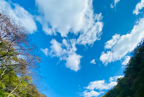 猊鼻渓舟下りの写真・動画_image_722372