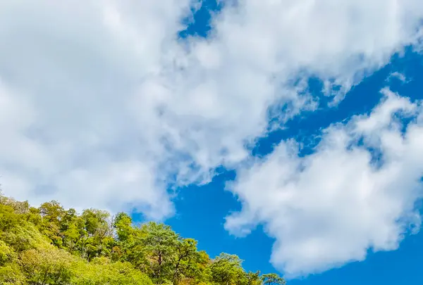 猊鼻渓舟下りの写真・動画_image_722373