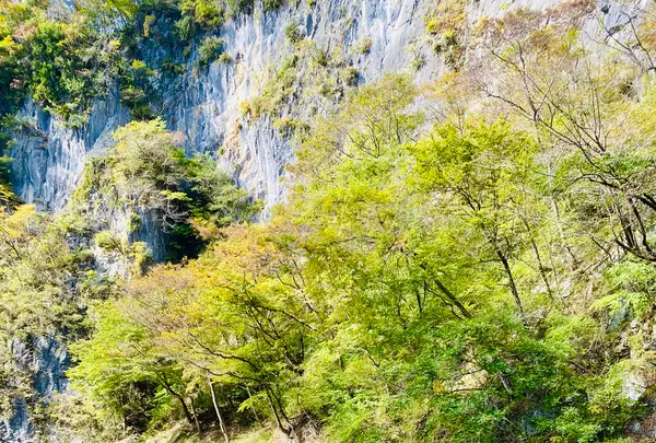 猊鼻渓舟下りの写真・動画_image_722374