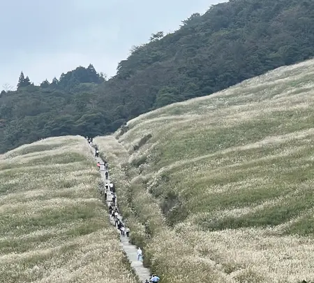 甘味処よもぎ屋の写真・動画_image_722440