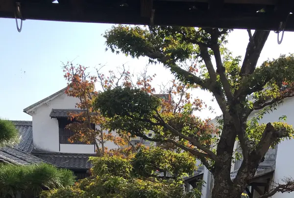 商家博物館 むろやの園の写真・動画_image_724468