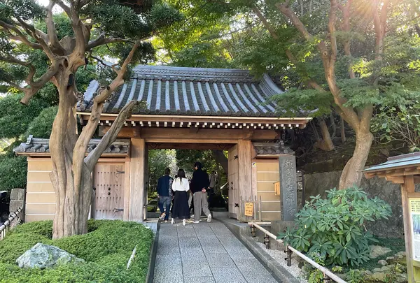 報国寺（竹寺）の写真・動画_image_724519