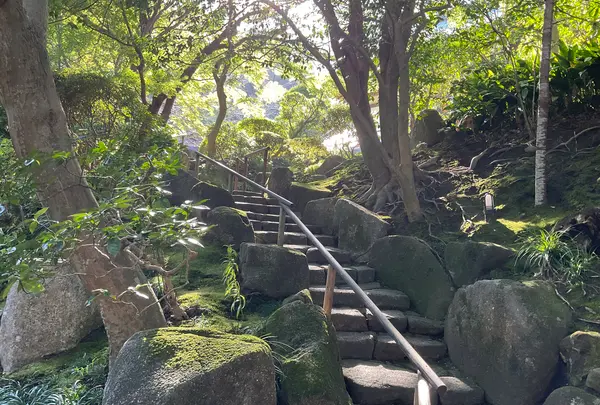 報国寺（竹寺）の写真・動画_image_724520