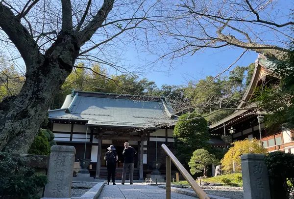 報国寺（竹寺）の写真・動画_image_724523