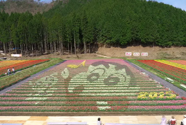 たんとう花公園の写真・動画_image_72693
