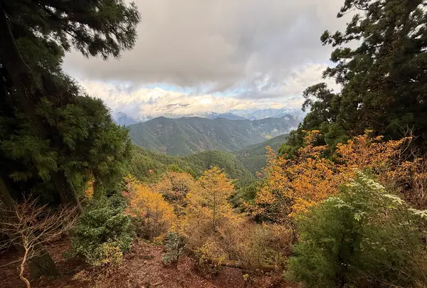 世界遺産 大峯奥駈道 石碑の写真・動画_image_727049