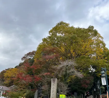 高尾山口駅の写真・動画_image_728373