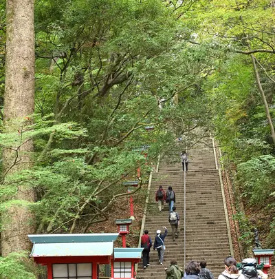 高尾山ケーブル高尾山駅の写真・動画_image_728381