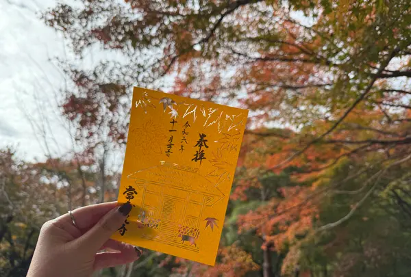 常寂光寺の写真・動画_image_728577