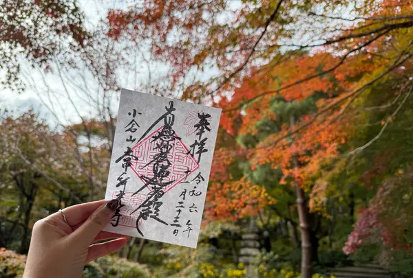 常寂光寺の写真・動画_image_728578