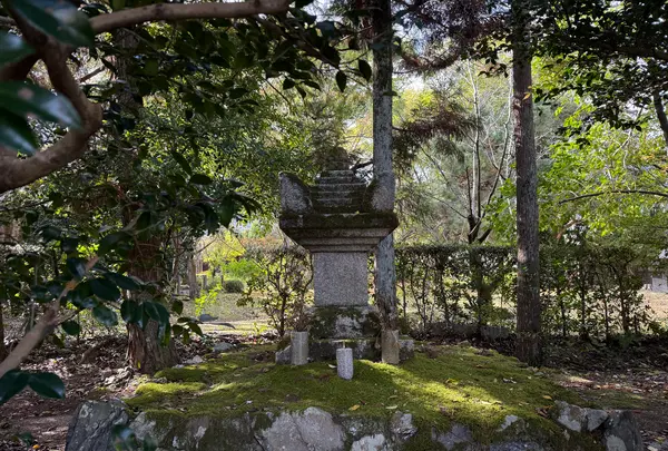 嵯峨釈迦堂（清凉寺）の写真・動画_image_728589