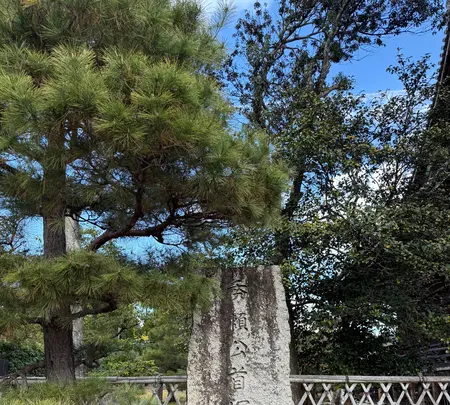 嵯峨釈迦堂（清凉寺）の写真・動画_image_728590