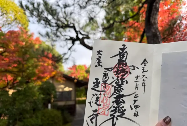 光悦寺の写真・動画_image_728619