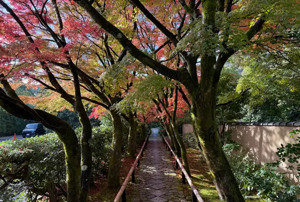 光悦寺の写真・動画_image_728620