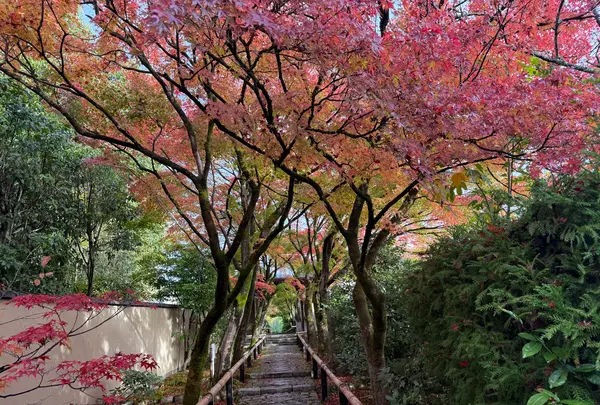 光悦寺の写真・動画_image_728621