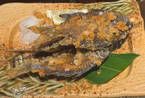 若大将の写真・動画_image_728810