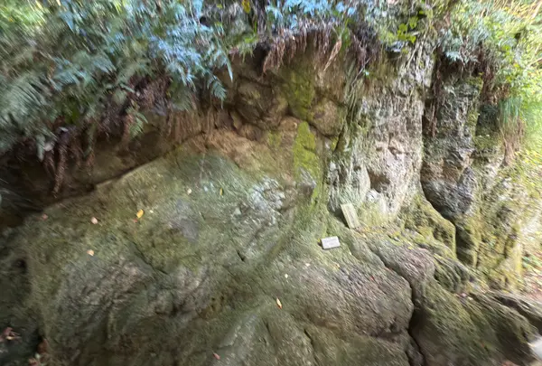 八雲山の岩の写真・動画_image_729540