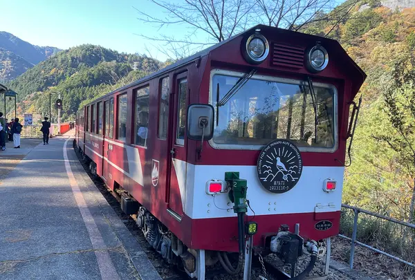 奥大井湖上駅の写真・動画_image_729626