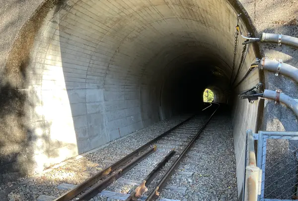 奥大井湖上駅の写真・動画_image_729634