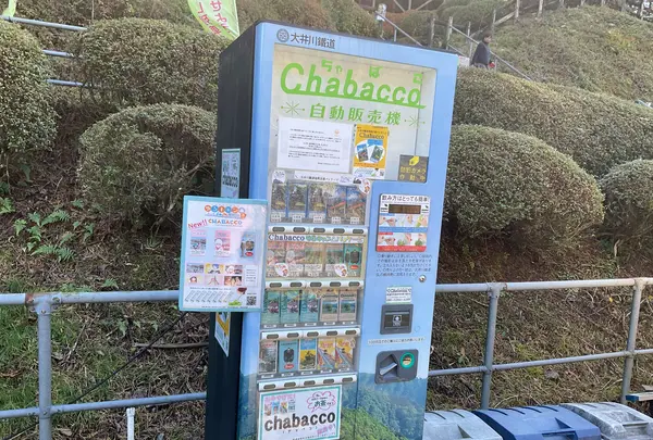 奥大井湖上駅の写真・動画_image_729635