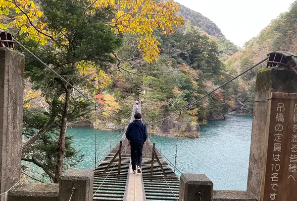 夢の吊橋の写真・動画_image_729643