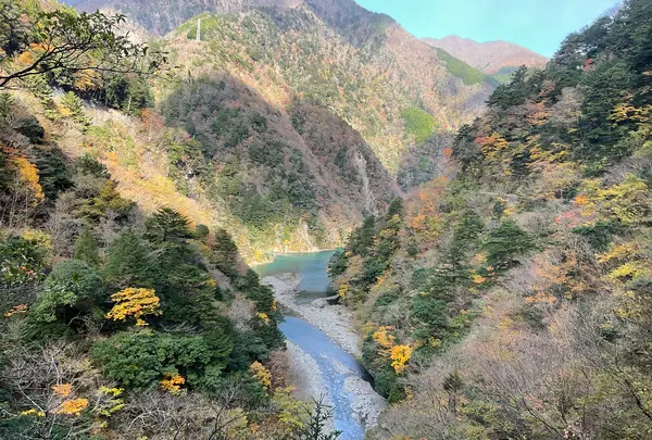 夢の吊橋の写真・動画_image_729644