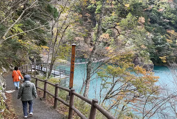 夢の吊橋の写真・動画_image_729645