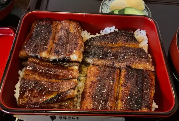 炭焼うなぎ あおいやの写真・動画_image_729650