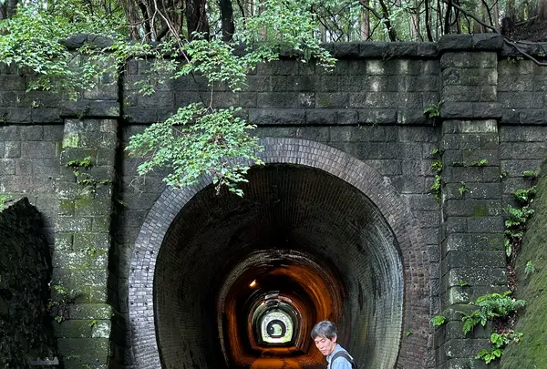 アプトの道の写真・動画_image_729673