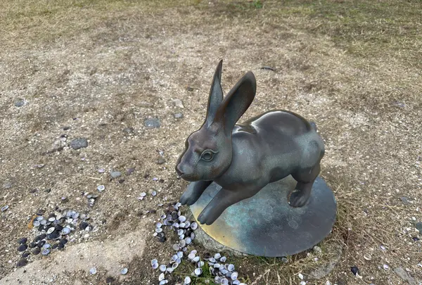 宍道湖うさぎの写真・動画_image_729676