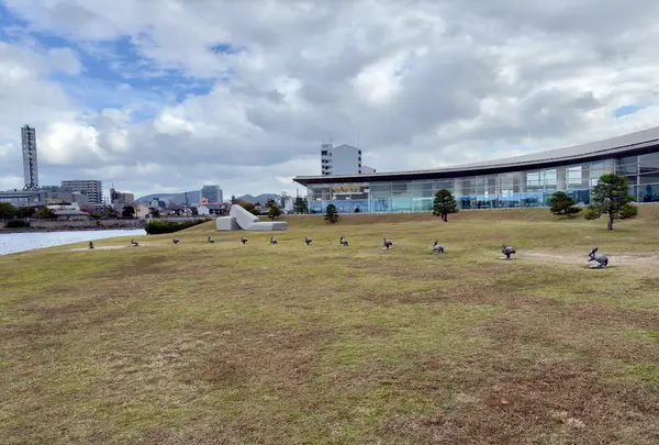 宍道湖うさぎの写真・動画_image_729677