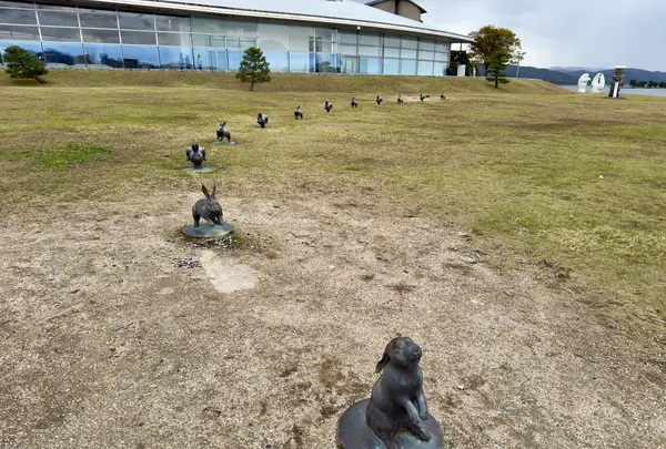 宍道湖うさぎの写真・動画_image_729678