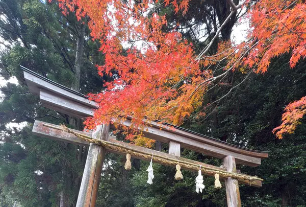 神魂神社の写真・動画_image_729682