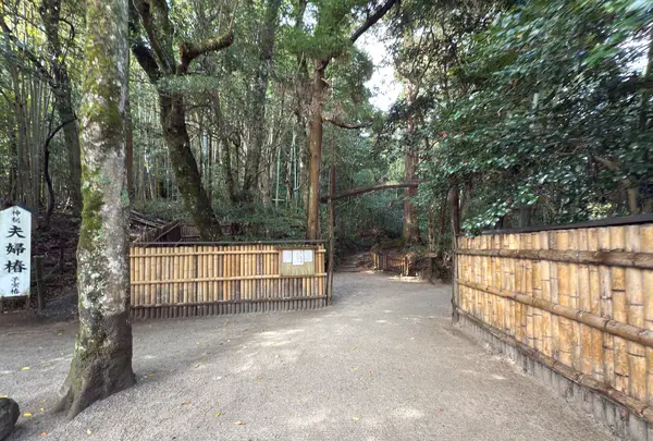 八重垣神社の写真・動画_image_729695