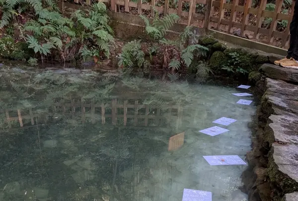 八重垣神社の写真・動画_image_729696