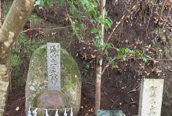 願い石の写真・動画_image_729714