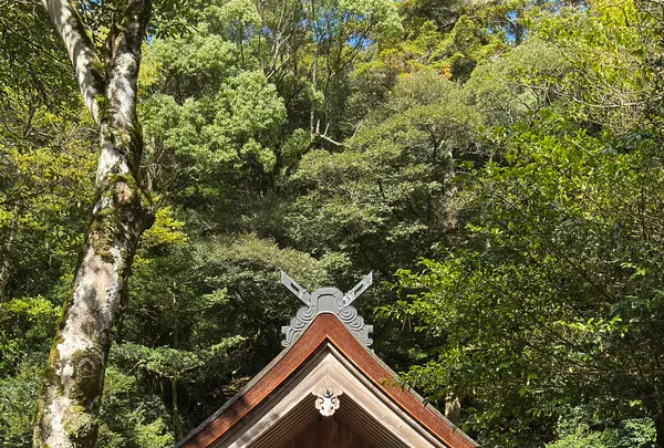 素鵞社の写真・動画_image_729757