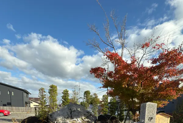 万九千神社の写真・動画_image_729776