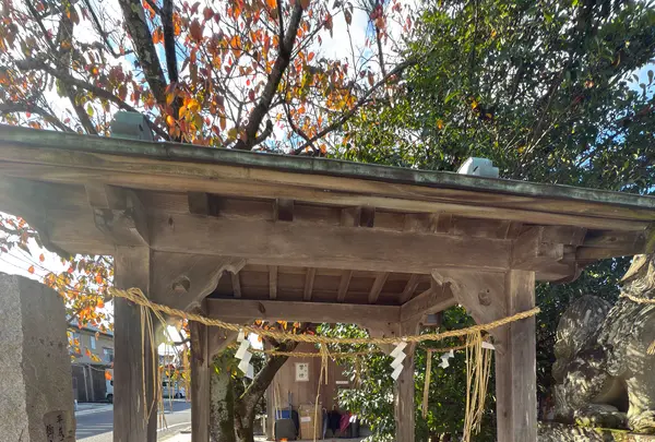 万九千神社の写真・動画_image_729777