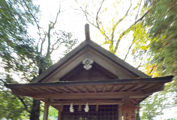 須佐神社の写真・動画_image_729783